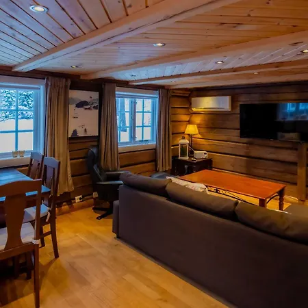 Trysilfjellet Sor 802 Anex
