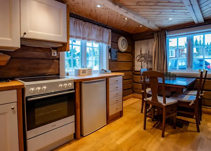 Trysilfjellet Sor 802 Anex Vakantiehuis Trysil